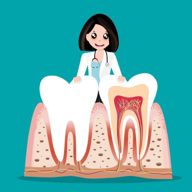 Diş hekimi ve insan dişleri. Diş bakımı geçmişi. Vektör illüstrasyonu.