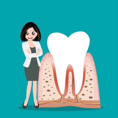 Diş hekimi ve insan dişleri. Diş bakımı geçmişi. Vektör illüstrasyonu.