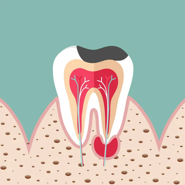 Dientes Humanos Cuidados Dentales Ilustración Vectorial — Archivo Imágenes Vectoriales