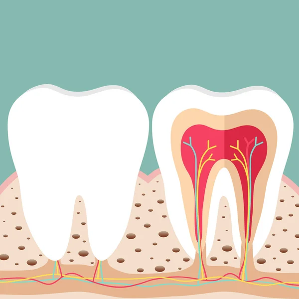 Human Teeth Dental Care Background Vector Illustration — Stock Vector