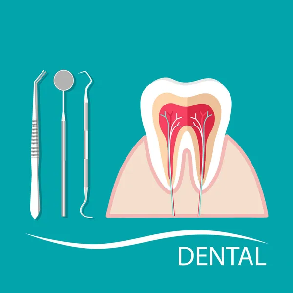 Instruments Dentaires Dents Examen Dentaire Concept Dentisterie — Image vectorielle