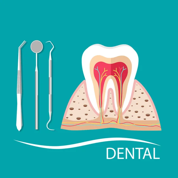 Instrumentos Dentários Dente Dentes Exame Odontológico Conceito —  Vetores de Stock