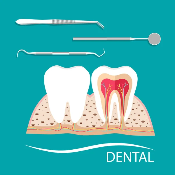 Strumenti Dentali Dente Denti Concetto Odontoiatria Esame — Vettoriale Stock