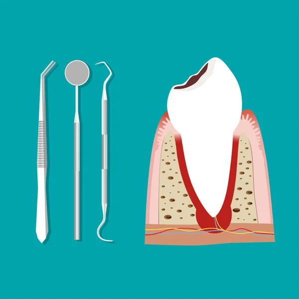 Instrumentos Dentários Dente Dentes Exame Odontológico Conceito — Vetor de Stock