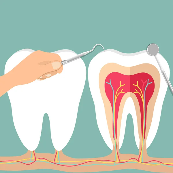 牙科医生拿着器械 检查病人的牙齿 牙科检查概念 — 图库矢量图片