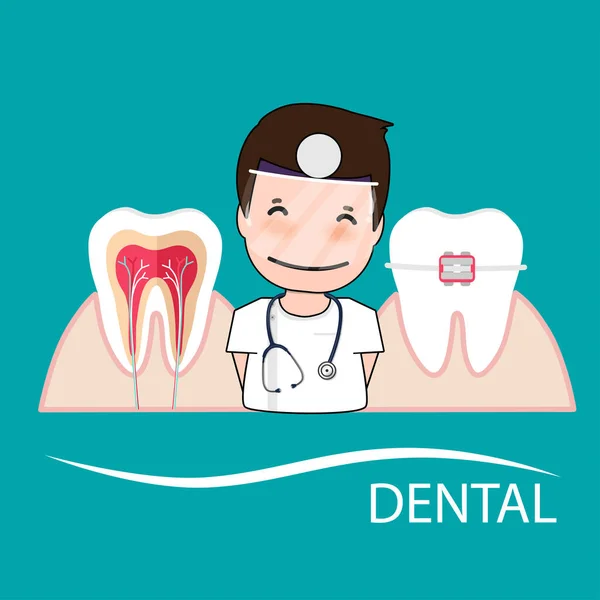 牙医和人类的牙齿 牙科护理背景 矢量说明 — 图库矢量图片