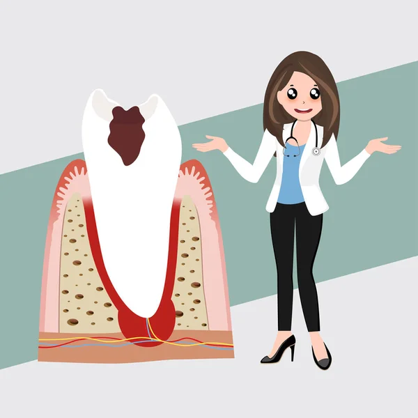 歯医者と人間の歯 歯のケアの背景 ベクターイラスト — ストックベクタ