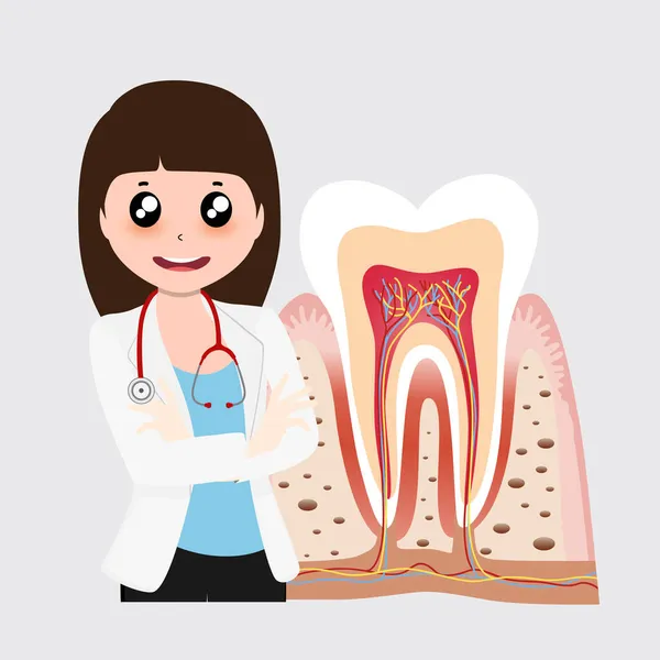 Dentysta Ludzkie Zęby Opieka Stomatologiczna Ilustracja Wektora — Wektor stockowy