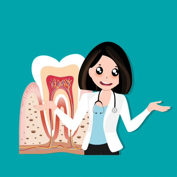Dentist Human Teeth Dental Care Background Vector Illustration — Stock Vector