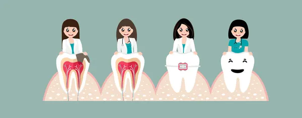 Dentiste Dents Humaines Une Formation Soins Dentaires Illustration Vectorielle — Image vectorielle