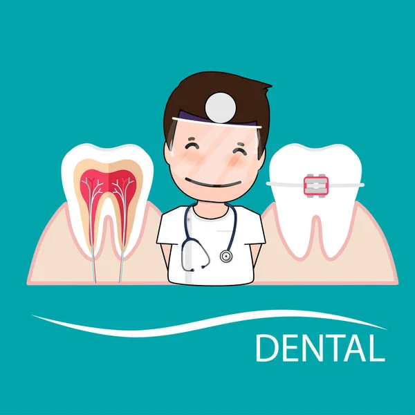 Dentista Dentes Humanos Antecedentes Cuidados Dentários Ilustração Vetorial Ilustração De Bancos De Imagens