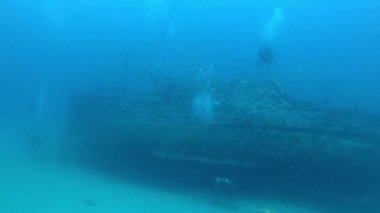 Sualtı sahnesi - Bir gemi enkazında dalgıçlar