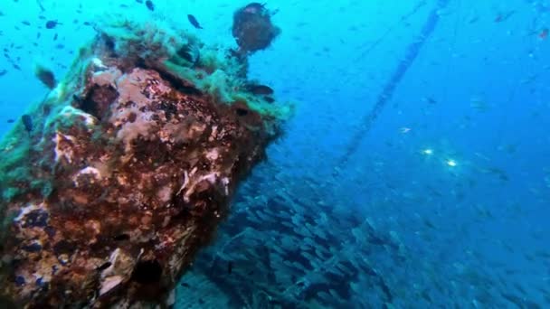 Pov Buceo Naufragio — Vídeos de Stock