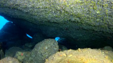 POV - Mağarada tüplü dalış