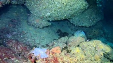 POV - Mağarada tüplü dalış