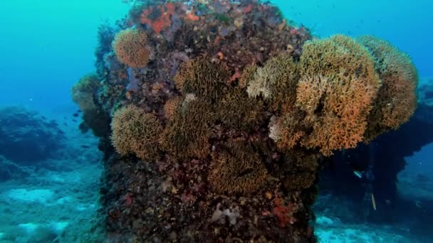Undervattenslandskap Vackra Toppar Medelhavet — Stockvideo