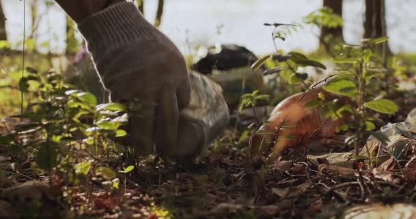 Ręka w rękawicy usuwa szczątki z lasu, zbliżenie — Wideo stockowe