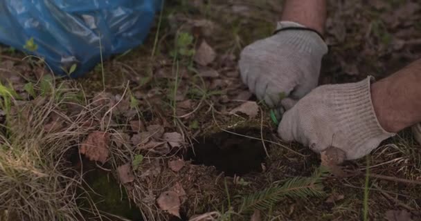 En hånd i en hanske fjerner vrakgods fra skogen. – stockvideo