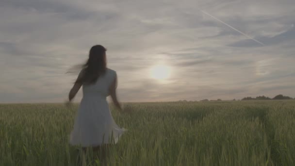 Молодая красивая девушка в белом платье бежит по зеленому пшеничному полю на закате — стоковое видео
