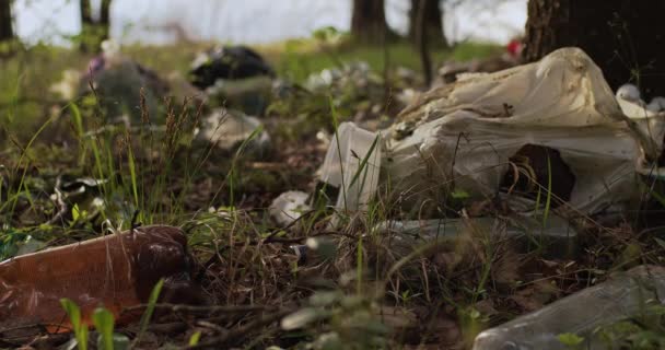 Πλαστικά σκουπίδια βρίσκονται στο έδαφος στο δάσος. — Αρχείο Βίντεο
