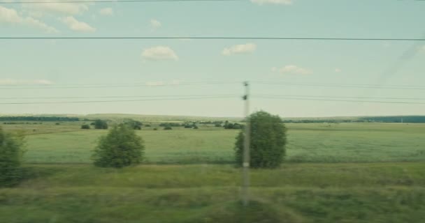 Pohled z okna jedoucího vlaku polí a lesů za teplého letního dne — Stock video