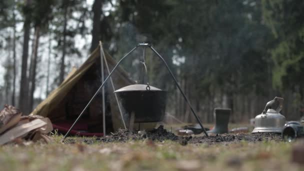 Вид на винтажную туристическую палатку в кемпинге в сосновом лесу. — стоковое видео