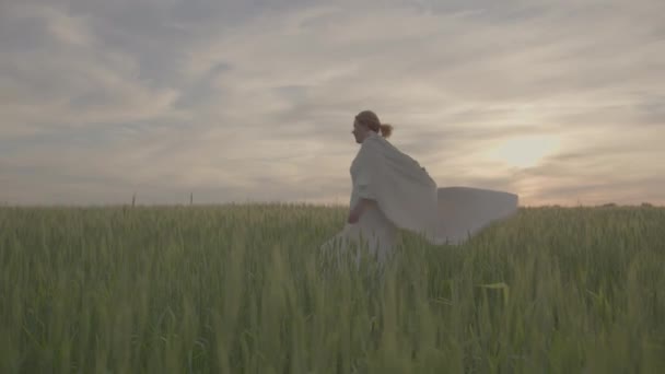 Молодая красивая девушка в этнической одежде ходит по зеленому полю пшеницы. — стоковое видео