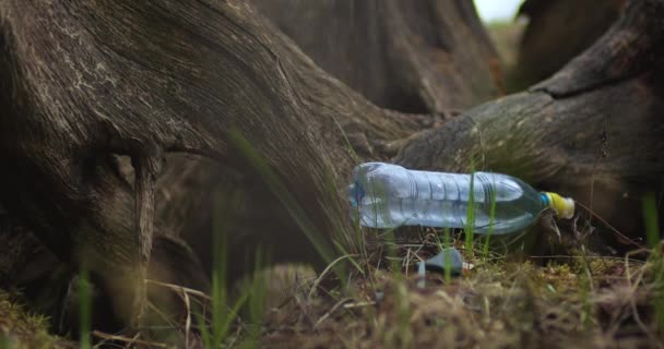 塑料垃圾躺在森林里的地上. — 图库视频影像