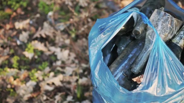 Primer plano de botellas de vidrio vacías en una bolsa de basura. Un voluntario limpia el bosque — Vídeo de stock