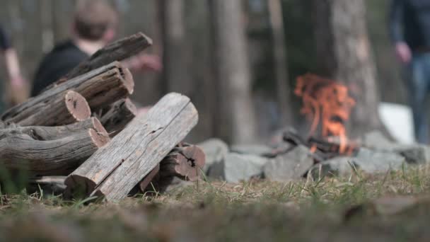 Крупный план груды сухих дров на фоне костра в лагере — стоковое видео