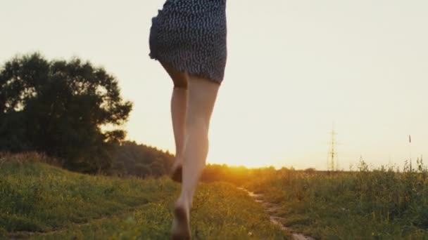 Boldog fiatal lány fut át a mezőn, kinyújtva karját az égig. — Stock videók