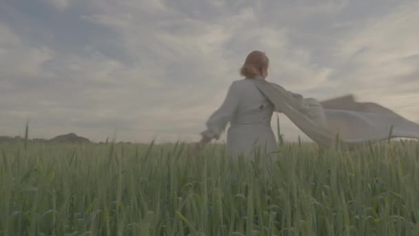 Uma jovem menina bonita em um vestido étnico está girando em um campo verde de trigo — Vídeo de Stock