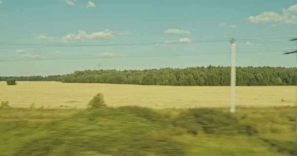 Blick aus dem Fenster eines fahrenden Zuges von Feldern und Wäldern an einem warmen Sommertag Videoclip