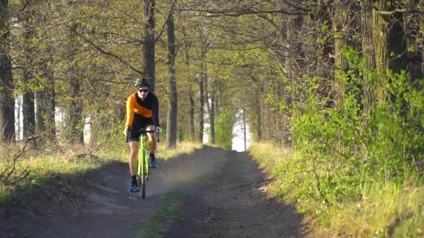 Silhuett av en cyklist på en gruscykel rider en stig i skogen — Stockvideo