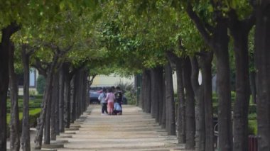 Spring Park 'taki bir grup çocuk. Mutlu çocuklar dışarıda eğleniyor.