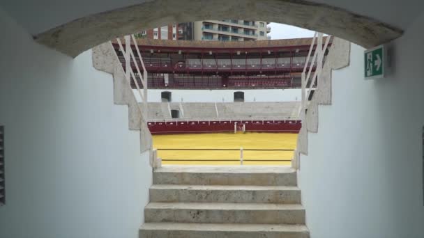 Plaza Toros Ronda Arena Byków Maladze Hiszpania 2022 — Wideo stockowe