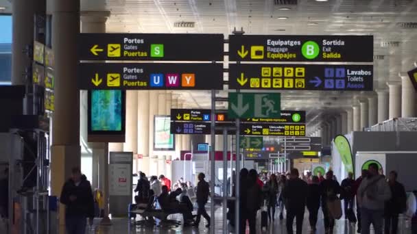 Uluslararası Havaalanı Bagaj Göçmenlik Tabelaya — Stok video