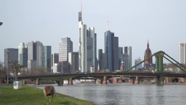 Hochhäuser Frankfurt Main Deutschland — Stockvideo