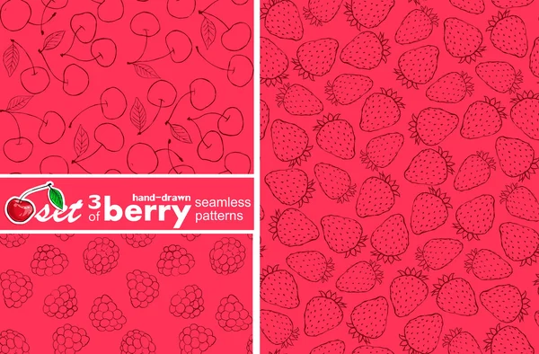 Berry patterns — Stock Vector
