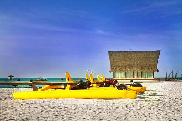 Cocotiers et canapés de plage avec ciel bleu — Photo