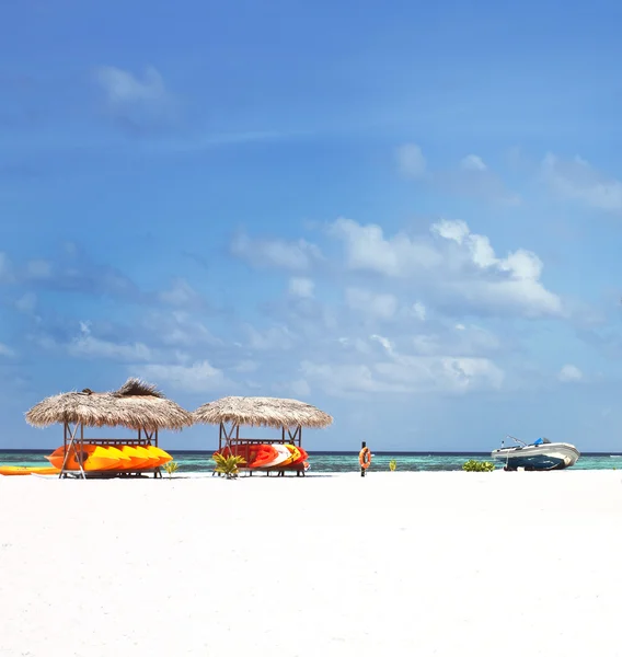 Alberi di cocco e divani da spiaggia con cielo blu — Foto Stock