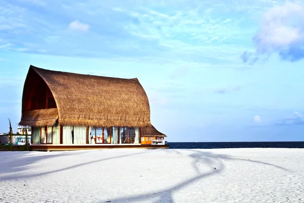 Kokospalmer och stranden soffor med blå himmel — Stockfoto