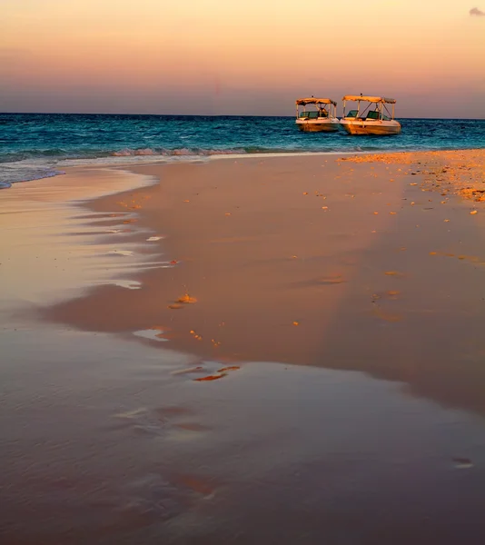 モルディブの海岸に沿う明確な空の帆船 — ストック写真