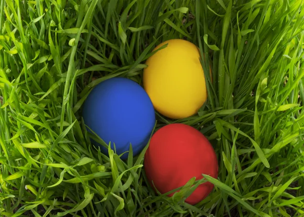 Jaja wielkanocne w trawie. Obraz Stockowy