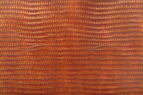 Reptile leather texture background — Stock Photo, Image
