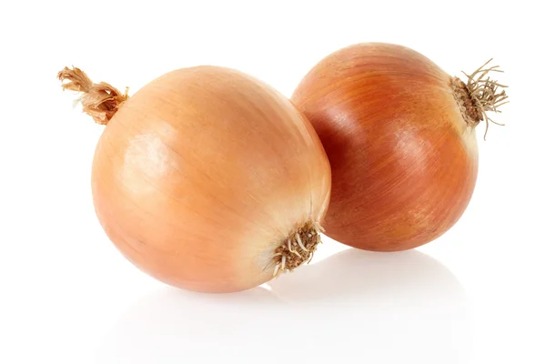 Fresh brown onion bulbs — Stock Photo, Image