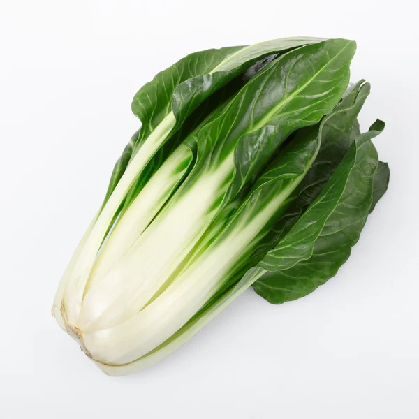 Rüben oder Beta vulgaris — Stockfoto