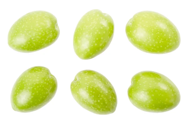 Raccolta delle olive — Foto Stock