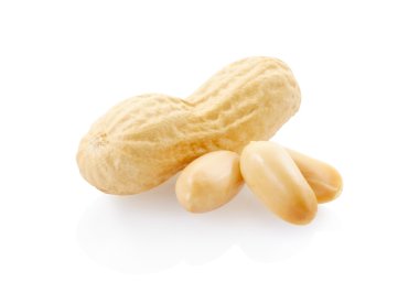 Fıstık