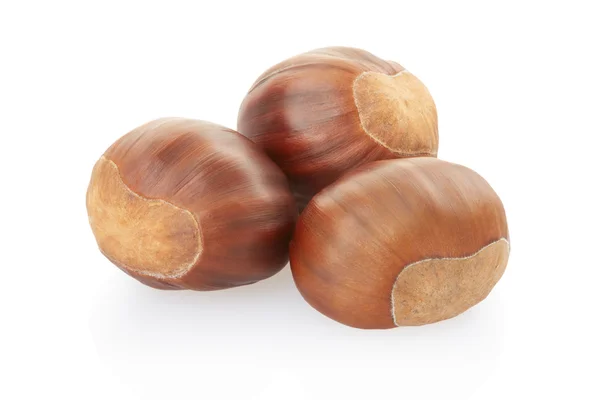 Chestnuts group — Stock Photo, Image